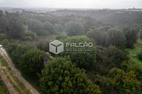 Grond in Santarem, Santarem, Santarem - € 179.000 | Ref: FR1114 - foto 5