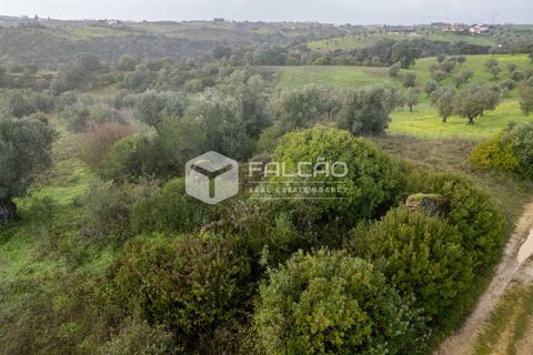 Grond in Santarem, Santarem, Santarem - € 179.000 | Ref: FR1114 - foto 6