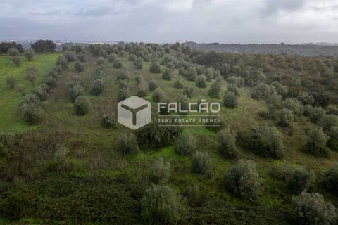 Grond in Santarem, Santarem, Santarem - € 179.000 | Ref: FR1114 - foto 7
