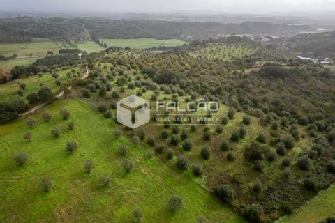Grond in Santarem, Santarem, Santarem - € 179.000 | Ref: FR1114 - foto 8