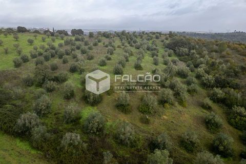 Grond in Santarem, Santarem, Santarem - € 179.000 | Ref: FR1114 - foto 9
