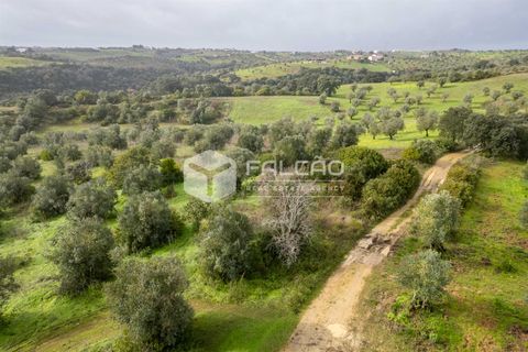Grond in Santarem, Santarem, Santarem - € 179.000 | Ref: FR1114 - foto 10