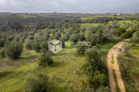 Grond in Santarem, Santarem, Santarem - € 179.000 | Ref: FR1114 - foto 11