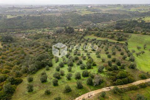 Grond in Santarem, Santarem, Santarem - € 179.000 | Ref: FR1114 - foto 12