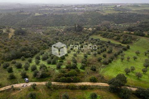 Grond in Santarem, Santarem, Santarem - € 179.000 | Ref: FR1114 - foto 13