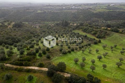 Grond in Santarem, Santarem, Santarem - € 179.000 | Ref: FR1114 - foto 14