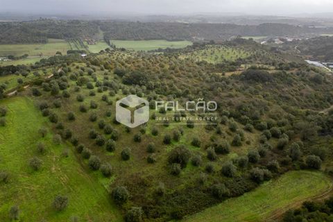 Grond in Santarem, Santarem, Santarem - € 179.000 | Ref: FR1114 - foto 15