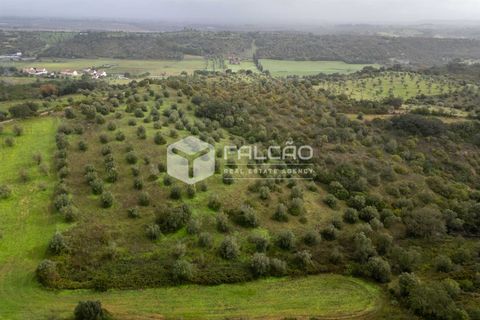 Grond in Santarem, Santarem, Santarem - € 179.000 | Ref: FR1114 - foto 16