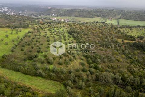 Grond in Santarem, Santarem, Santarem - € 179.000 | Ref: FR1114 - foto 17