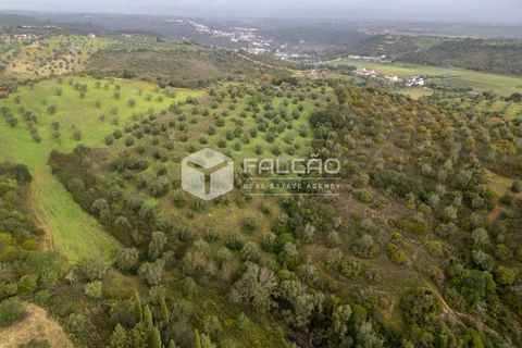 Grond in Santarem, Santarem, Santarem - € 179.000 | Ref: FR1114 - foto 18