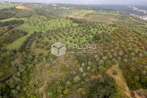 Grond in Santarem, Santarem, Santarem - € 179.000 | Ref: FR1114 - foto 19