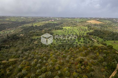 Grond in Santarem, Santarem, Santarem - € 179.000 | Ref: FR1114 - foto 20