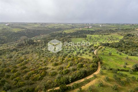 Grond in Santarem, Santarem, Santarem - € 179.000 | Ref: FR1114 - foto 21