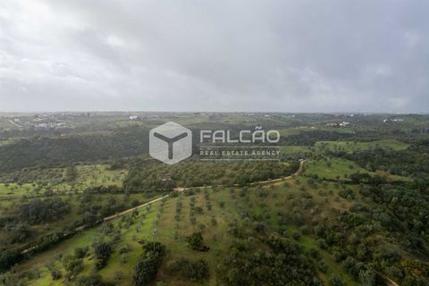 Grond in Santarem, Santarem, Santarem - € 179.000 | Ref: FR1114 - foto 25