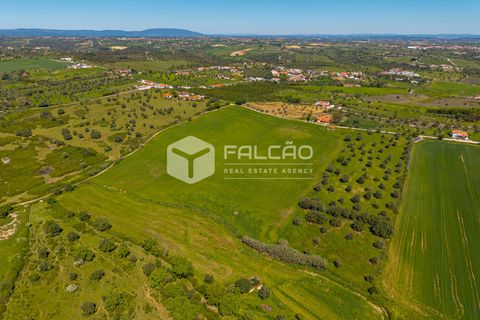 Tomt i Santarem, Santarem, Santarem - € 220 000 | Ref: FR1111 - foto 3