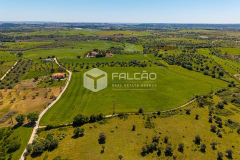 Tomt i Santarem, Santarem, Santarem - € 220 000 | Ref: FR1111 - foto 8