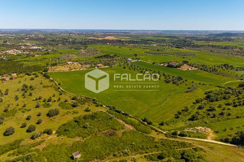 Tomt i Santarem, Santarem, Santarem - € 220 000 | Ref: FR1111 - foto 9