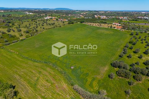 Tomt i Santarem, Santarem, Santarem - € 220 000 | Ref: FR1111 - foto 12