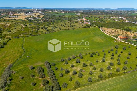 Tomt i Santarem, Santarem, Santarem - € 220 000 | Ref: FR1111 - foto 13