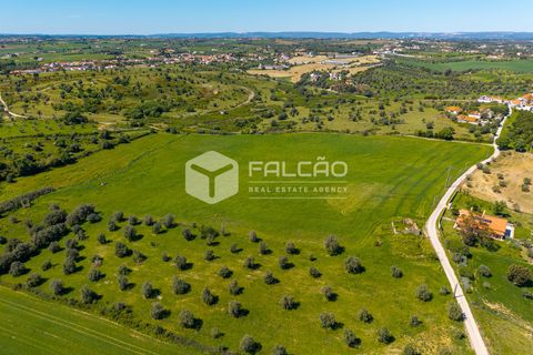 Tomt i Santarem, Santarem, Santarem - € 220 000 | Ref: FR1111 - foto 16
