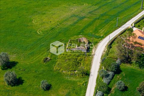 Tomt i Santarem, Santarem, Santarem - € 220 000 | Ref: FR1111 - foto 19