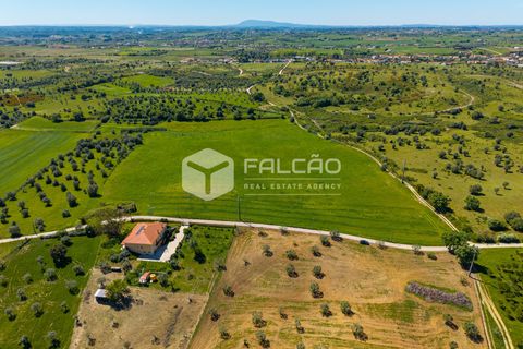 Tomt i Santarem, Santarem, Santarem - € 220 000 | Ref: FR1111 - foto 21
