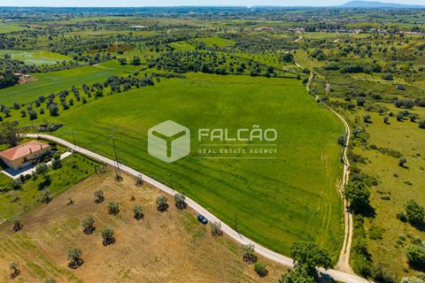 Tomt i Santarem, Santarem, Santarem - € 220 000 | Ref: FR1111 - foto 22