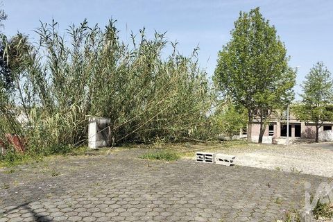 Terra a Leiria, Leiria, Leiria - € 67.500 | Ref: 906404 - foto 12