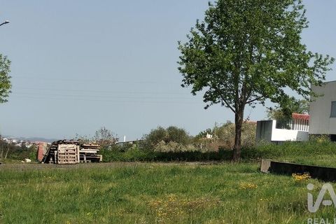 Terra a Leiria, Leiria, Leiria - € 67.500 | Ref: 906404 - foto 21