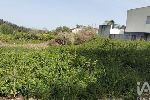 Terra a Leiria, Leiria, Leiria - € 67.500 | Ref: 906404 - foto 22