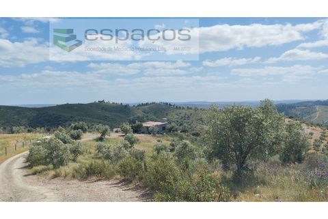 Gård i Castelo Branco, Castelo Branco, Castelo Branco - € 123 000 | Ref: 5752/AC - foto 2