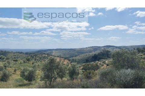 Gård i Castelo Branco, Castelo Branco, Castelo Branco - € 123 000 | Ref: 5752/AC - foto 3