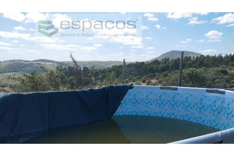 Gård i Castelo Branco, Castelo Branco, Castelo Branco - € 123 000 | Ref: 5752/AC - foto 18