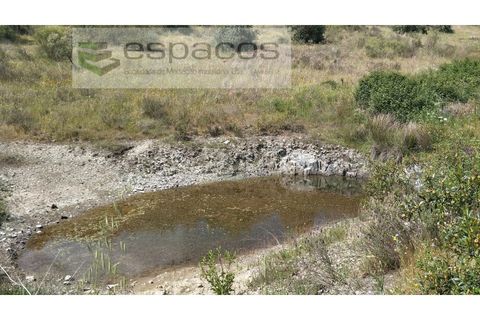 Gård i Castelo Branco, Castelo Branco, Castelo Branco - € 123 000 | Ref: 5752/AC - foto 20