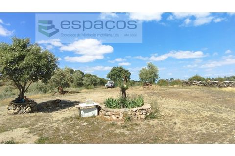 Gård i Castelo Branco, Castelo Branco, Castelo Branco - € 123 000 | Ref: 5752/AC - foto 25
