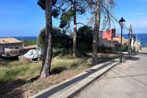 Helårsgrund i Banyalbufar, Mallorca, Banyalbufar - € 215.000 | Ref: EXP14195/8930 - foto 3