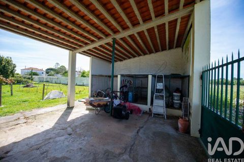 Byhus i Palmela, Setubal, Palmela - € 800.000 | Ref: 873260 - foto 6