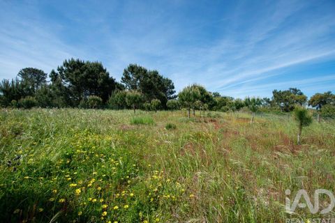 Byhus i Palmela, Setubal, Palmela - € 800.000 | Ref: 873260 - foto 7