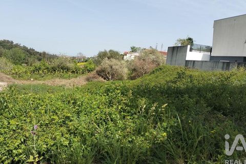 Helårsgrund i Leiria, Leiria, Leiria - € 55.000 | Ref: 906319 - foto 20