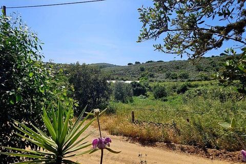 Terra a Sagres, Faro, Sagres - € 100.000 | Ref: 886613 - foto 2