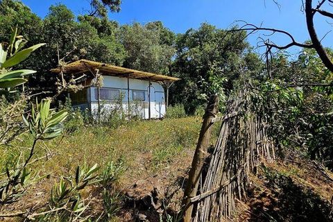 Terra a Sagres, Faro, Sagres - € 100.000 | Ref: 886613 - foto 3