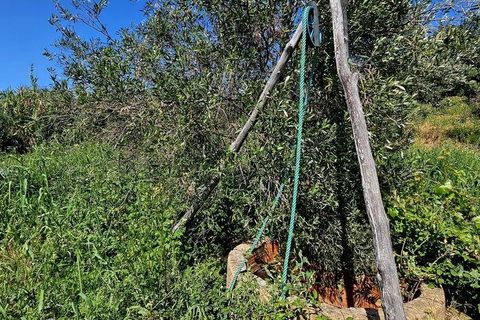 Terra a Sagres, Faro, Sagres - € 100.000 | Ref: 886613 - foto 5