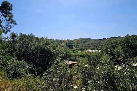 Terra a Sagres, Faro, Sagres - € 100.000 | Ref: 886613 - foto 9