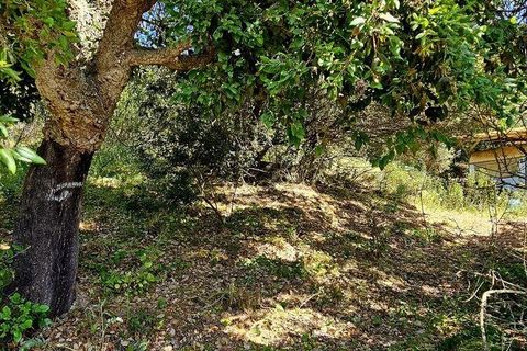 Terra a Sagres, Faro, Sagres - € 100.000 | Ref: 886613 - foto 10