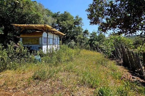 Terra a Sagres, Faro, Sagres - € 100.000 | Ref: 886613 - foto 11