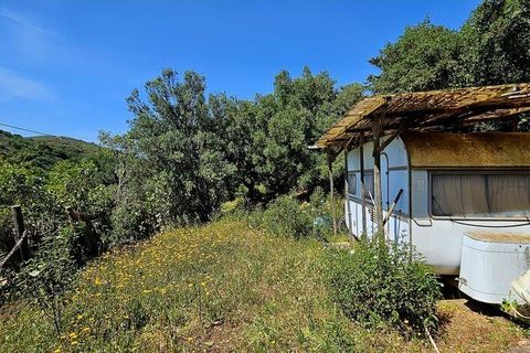 Terra a Sagres, Faro, Sagres - € 100.000 | Ref: 886613 - foto 12
