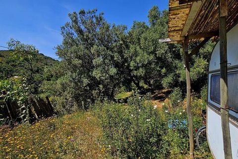 Terra a Sagres, Faro, Sagres - € 100.000 | Ref: 886613 - foto 14