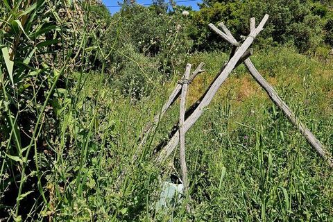 Terra a Sagres, Faro, Sagres - € 100.000 | Ref: 886613 - foto 17