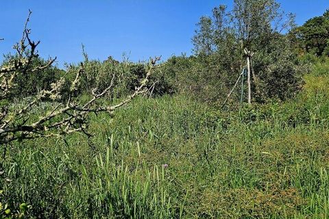 Terra a Sagres, Faro, Sagres - € 100.000 | Ref: 886613 - foto 21