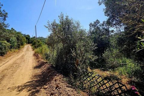 Terra a Sagres, Faro, Sagres - € 100.000 | Ref: 886613 - foto 22